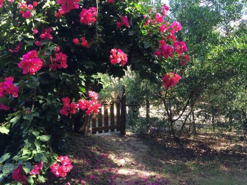 Lodge Caba�as Del Potrero