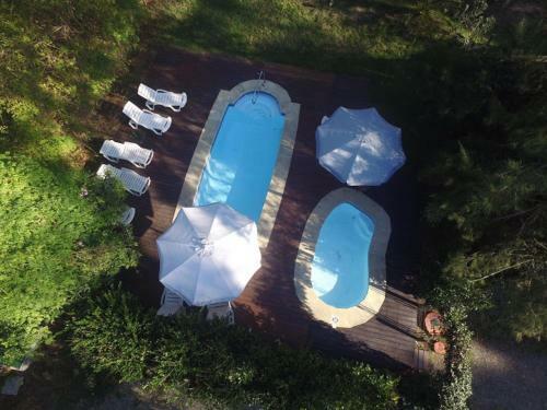 Lodge Caba�as Del Potrero