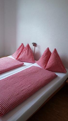 Hostal Berggasthaus Tannalp