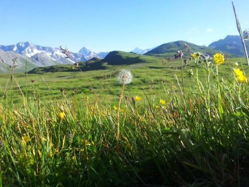Hostal Berggasthaus Tannalp