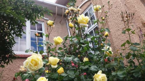 Chimneys B&B
