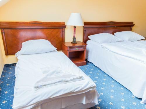 Hotel Stary M?yn
