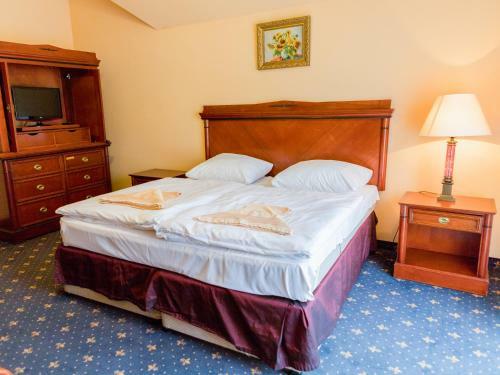 Hotel Stary M?yn
