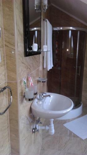 Hotel Pod Lwami