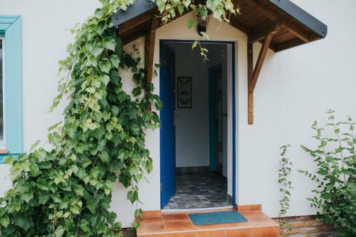 Agroturismo Sokole Ranczo