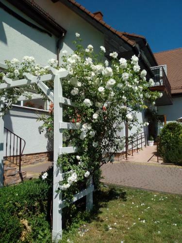 Hostal Artemis