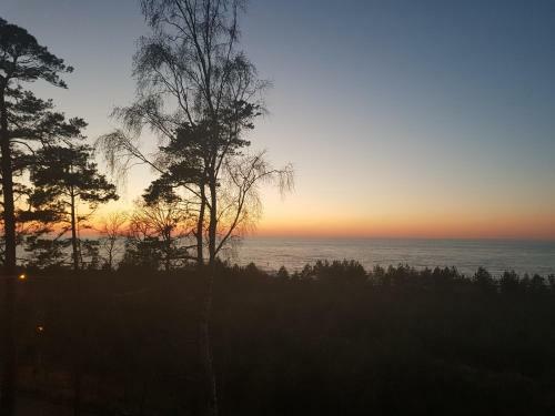 Apartamento Porta Balticum
