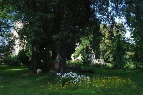Hostal Zamek W Czernej