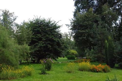 Hostal Zamek W Czernej