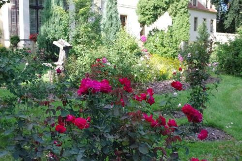 Hostal Zamek W Czernej