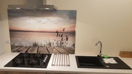 Apartament Strumyk