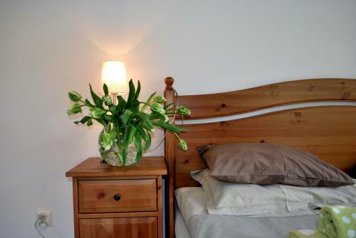 Apartmorze Apartamenty Na Le?nej