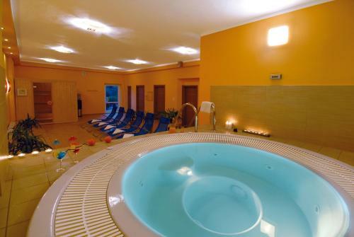 Hotel Albatros Spa & Ski