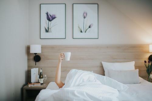 Bed & Breakfast Tulipanowy Go?ciniec