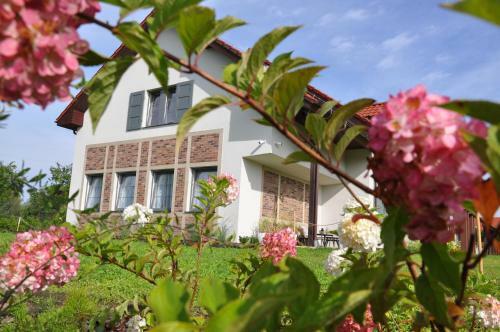 Bed & Breakfast Tulipanowy Go?ciniec