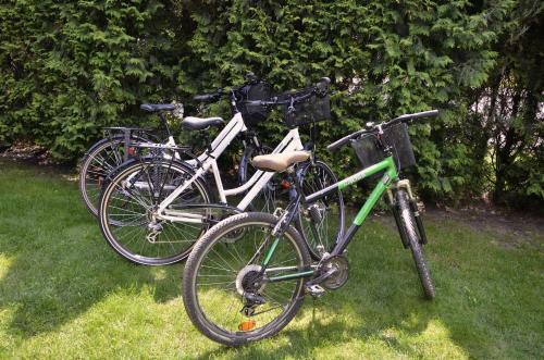 Apartament Promyczek