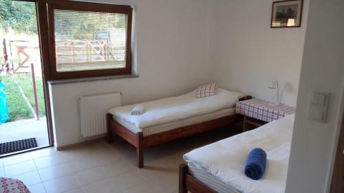 Bac�wka Noclegi