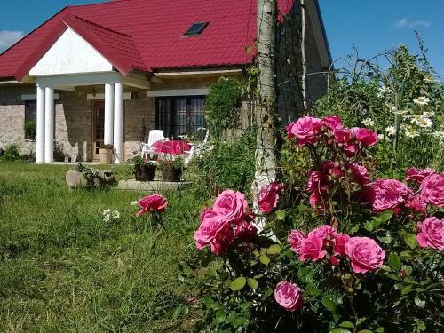 Villa Holiday Home Angelino