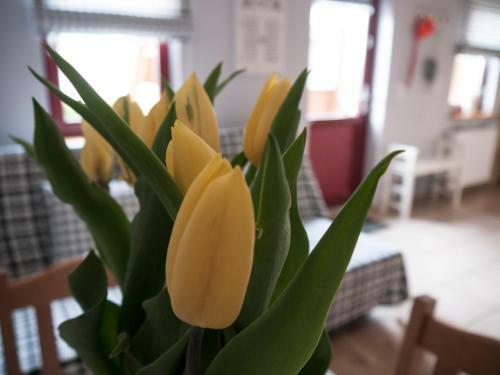 Apartamento Zakatek Mala
