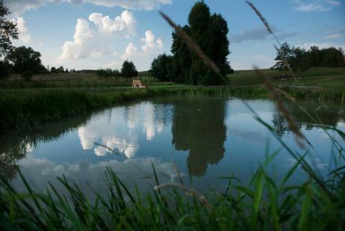 Apartamenty U Harrego II