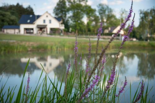 Apartamenty U Harrego