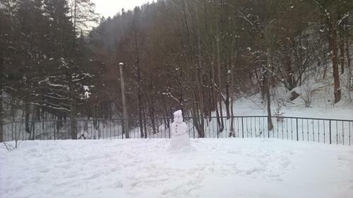Hostal Dworek Le?ny