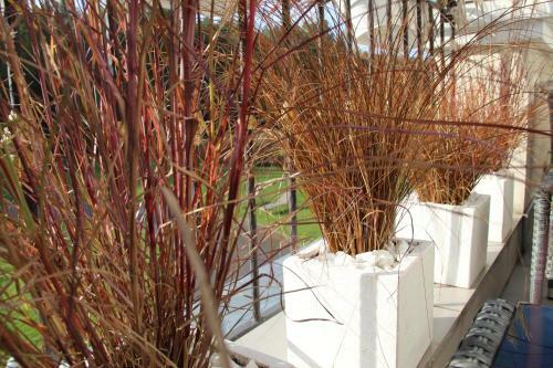 Hotel Eco Niebor�w