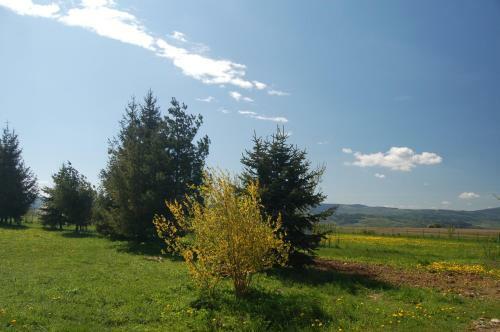 Hostal Rezydencja Terra Sudeta