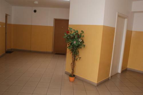Apartamenty Nad Hotelem Grot