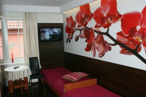 Hotel Owr Gra?yna