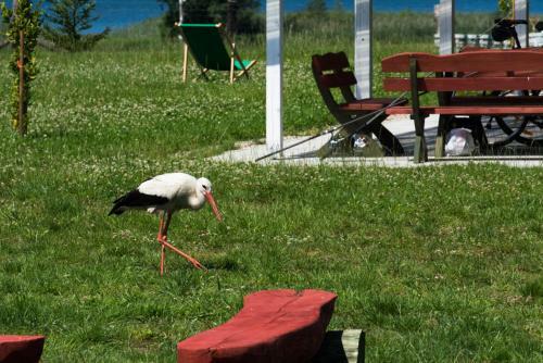 Agroturismo Mi?a Dolina
