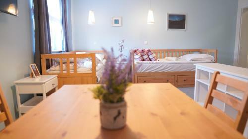 Hostal Mcew Studnia