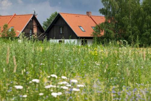 Apartamenty Nad Wdzydzami