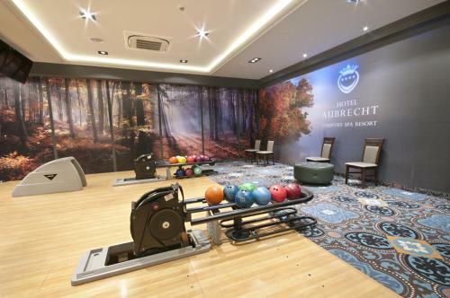 Hotel Aubrecht Country Spa Resort