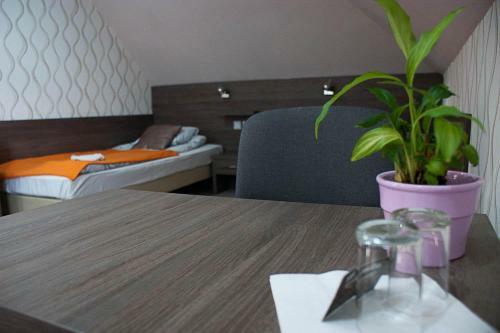Bed & Breakfast Ja? I Ma?gosia