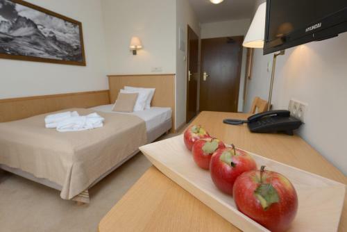 Hotel Alpejski