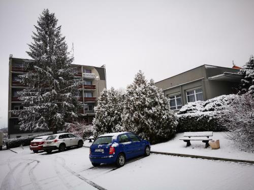 Hotel Mieszko