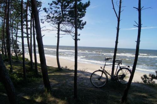 Domki Baltic 70 Metr�w Pla?a
