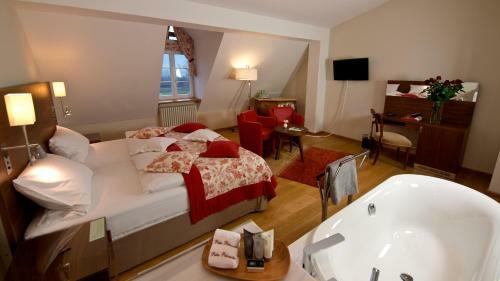 Hotel Pa?ac Pakosz�w