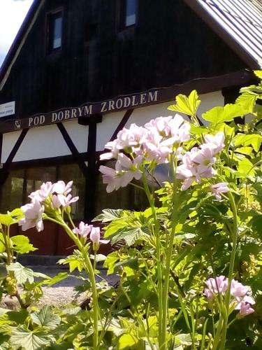 Pod Dobrym ?r�d?em