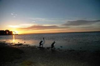 Hotel Mercure Kangaroo Island Lodge