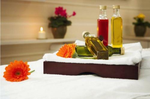 Wellness Hotel Spark