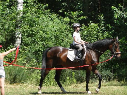 Agroturismo Wioska Pod Kogutem