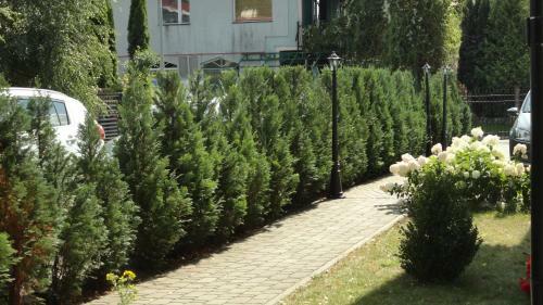 Hostal Heweliusz