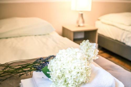 Hotel Domy - Apartamenty W Sosnowym Lesie - Ca?oroczne
