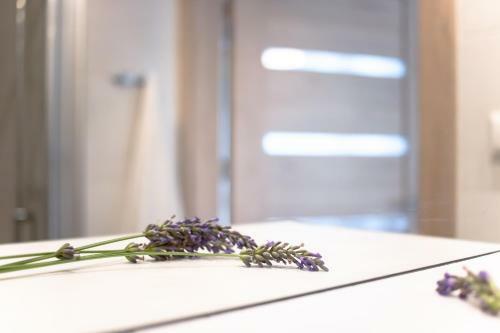 Hotel Domy - Apartamenty W Sosnowym Lesie - Ca?oroczne