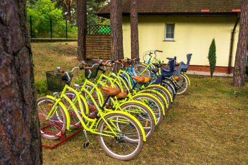 Hotel Domy - Apartamenty W Sosnowym Lesie - Ca?oroczne