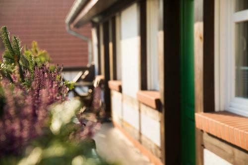 Bed & Breakfast Mistral Ustka