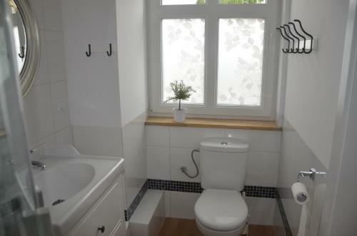 Hostal Bia?y Dom