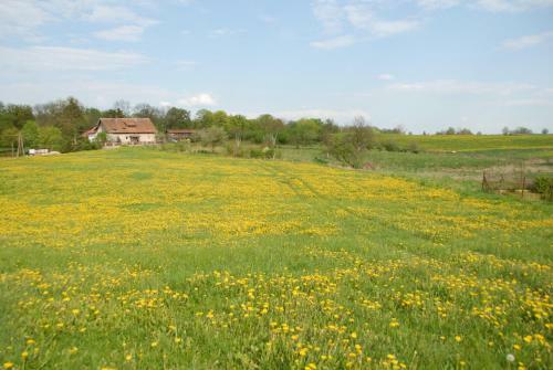 Agroturismo Nad Dolin? Krutyni